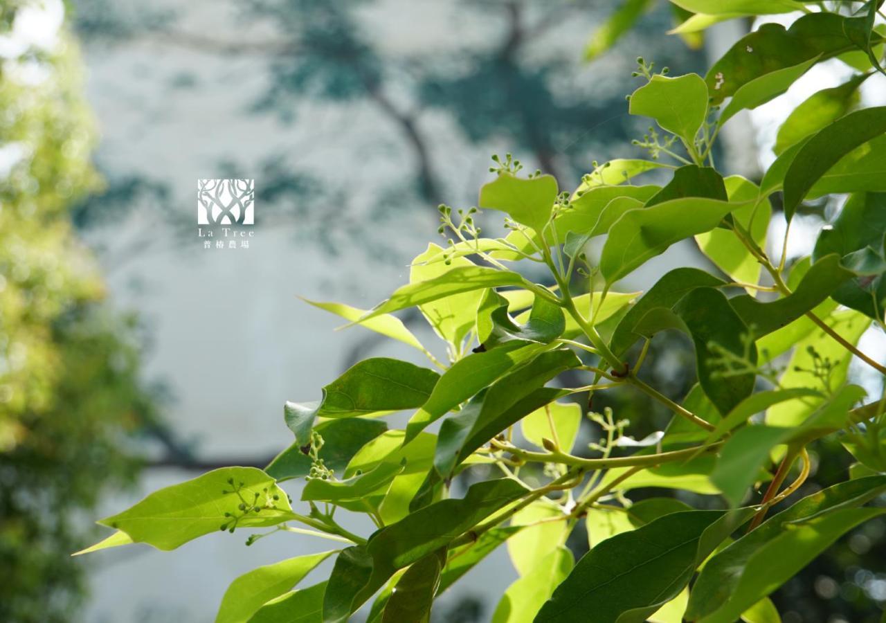 La Tree 普椿農場木子莊園 Apartment Thị trấn Đông Hà Ngoại thất bức ảnh