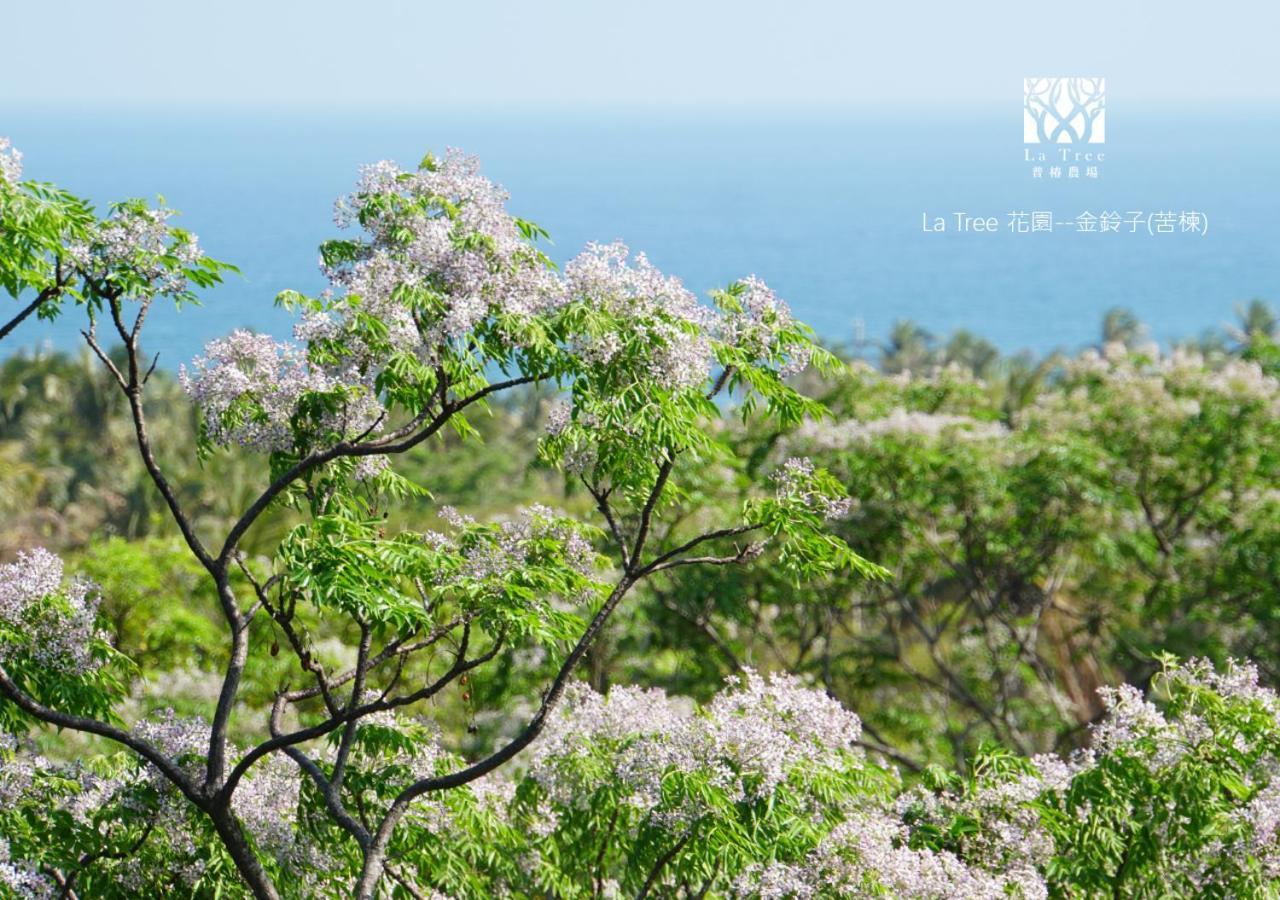 La Tree 普椿農場木子莊園 Apartment Thị trấn Đông Hà Ngoại thất bức ảnh
