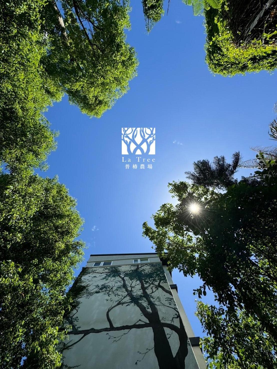 La Tree 普椿農場木子莊園 Apartment Thị trấn Đông Hà Ngoại thất bức ảnh